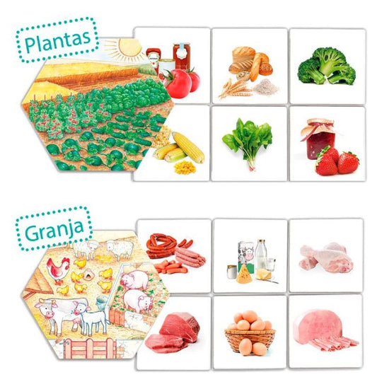 „Iš kur atsiranda maistas?“ (Akros)