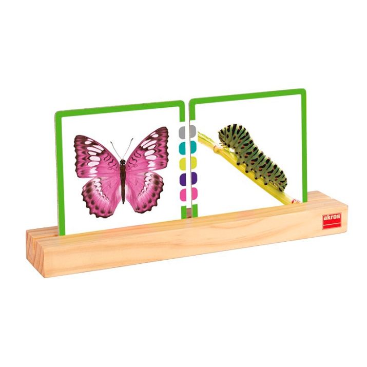 🪵 Mediniai kortelių laikikliai „Akros“ (2 vnt.)