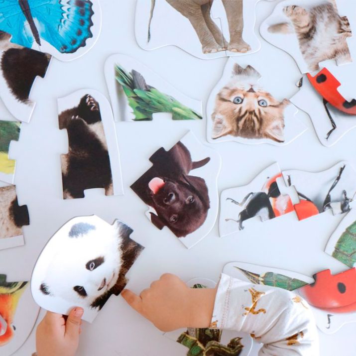 🐼 Gyvūnų siluetai – 9 maxi dėlionės