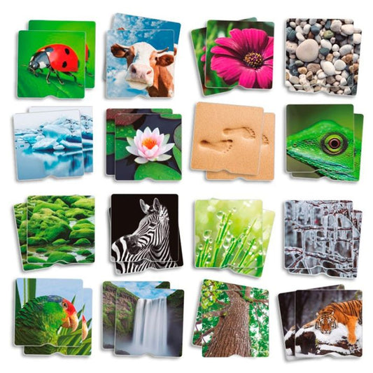 Atrask tekstūras ir gamtos paslaptis per lietimą ir žaidimą! 🍃🔍