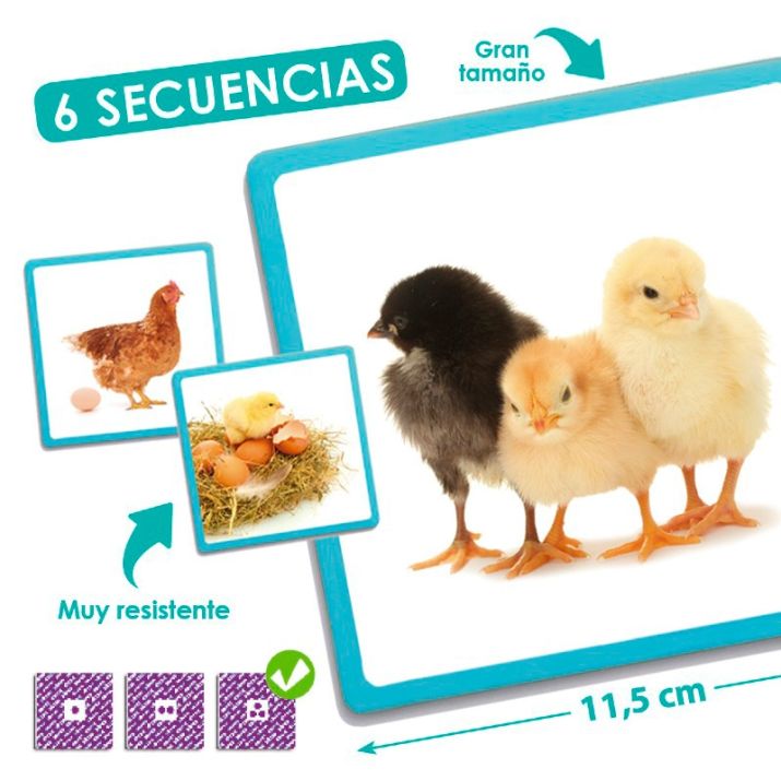 🌿 Gamtos sekos – maxi paveikslėliai