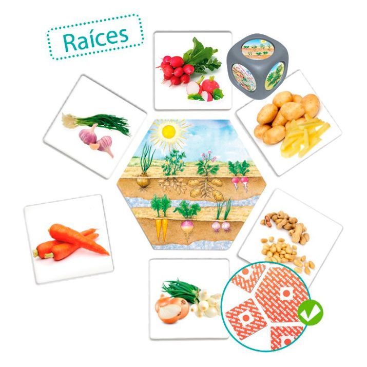 „Iš kur atsiranda maistas?“ (Akros)