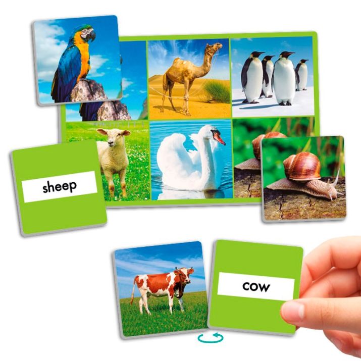 Linksmas loto žaidimas, kuriame pažinsi net 72 gyvūnus iš viso pasaulio! 🐧🦒🐢