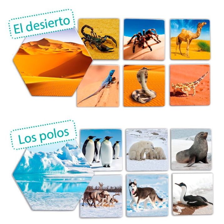 🦒 Kur gyvena gyvūnai? – edukacinis asociacijų žaidimas