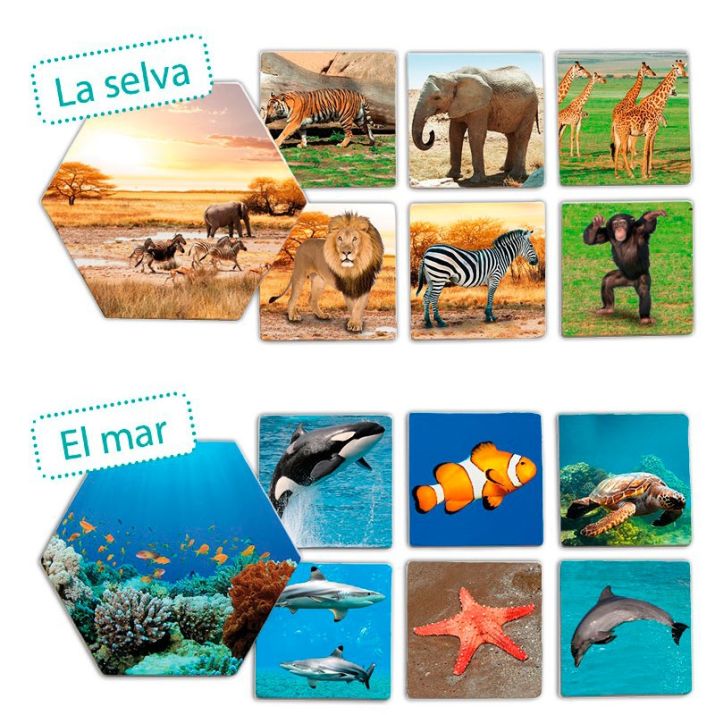 🦒 Kur gyvena gyvūnai? – edukacinis asociacijų žaidimas