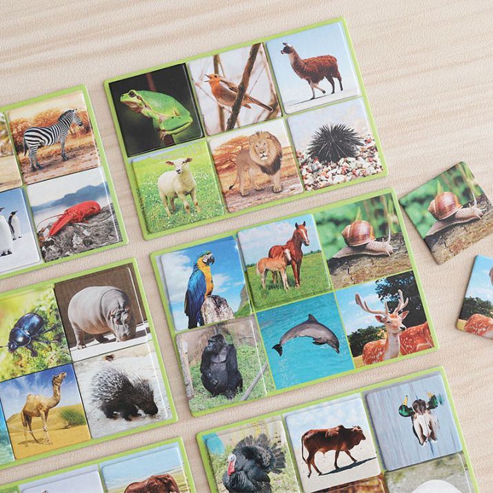 Linksmas loto žaidimas, kuriame pažinsi net 72 gyvūnus iš viso pasaulio! 🐧🦒🐢