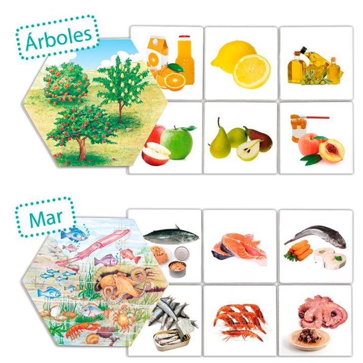 „Iš kur atsiranda maistas?“ (Akros)