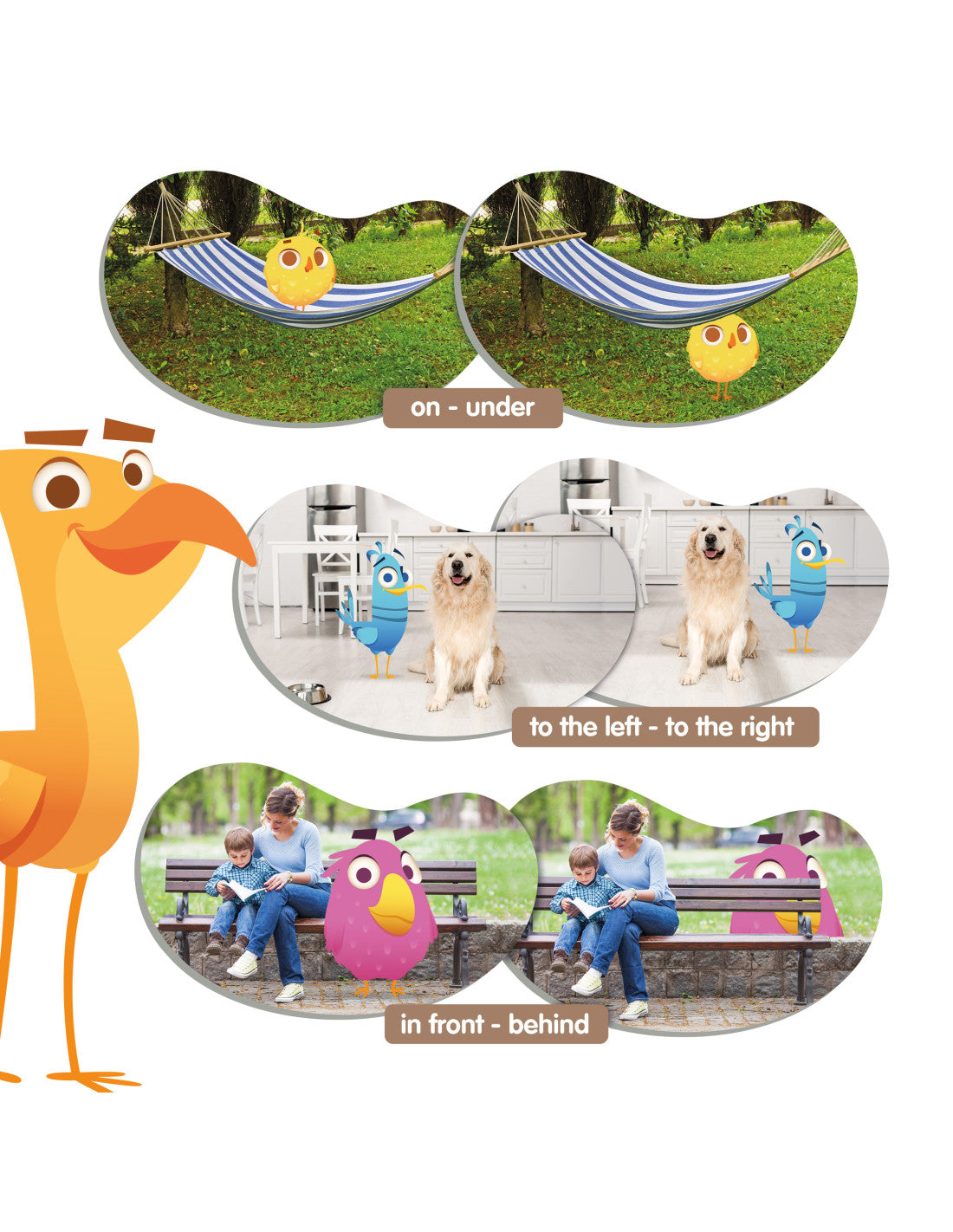 🐦 Edukacinis žaidimas „Paukščių geografija“ – erdvinis suvokimas