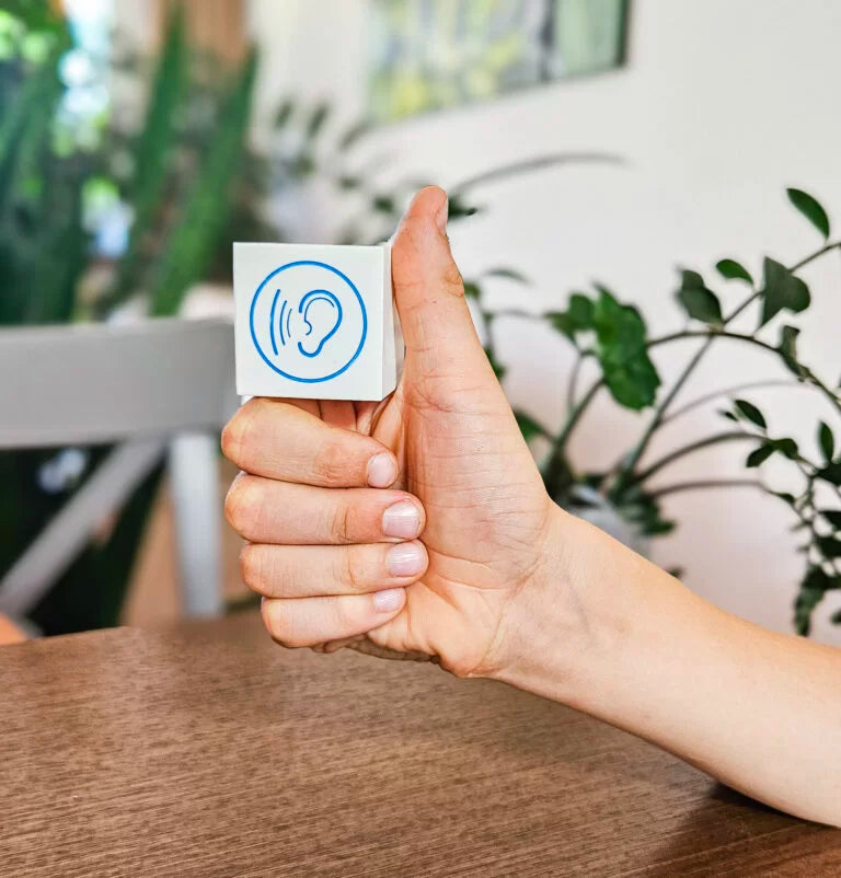 Garsinė atmintis – edukacinis kalbos ir klausos lavinimo žaidimas vaikams