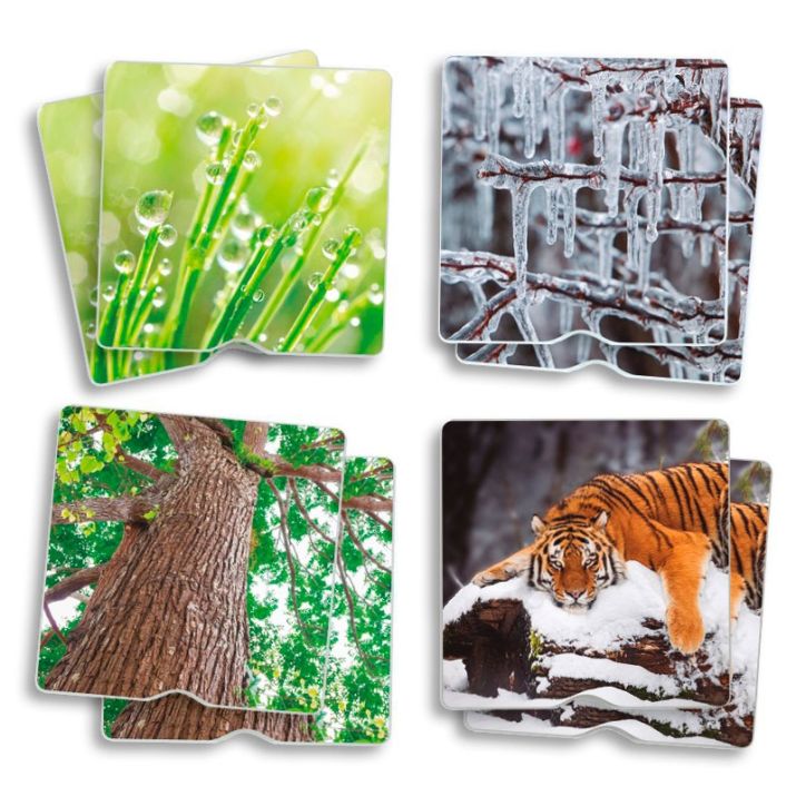 Atrask tekstūras ir gamtos paslaptis per lietimą ir žaidimą! 🍃🔍