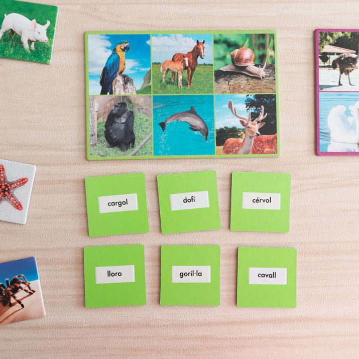 Linksmas loto žaidimas, kuriame pažinsi net 72 gyvūnus iš viso pasaulio! 🐧🦒🐢