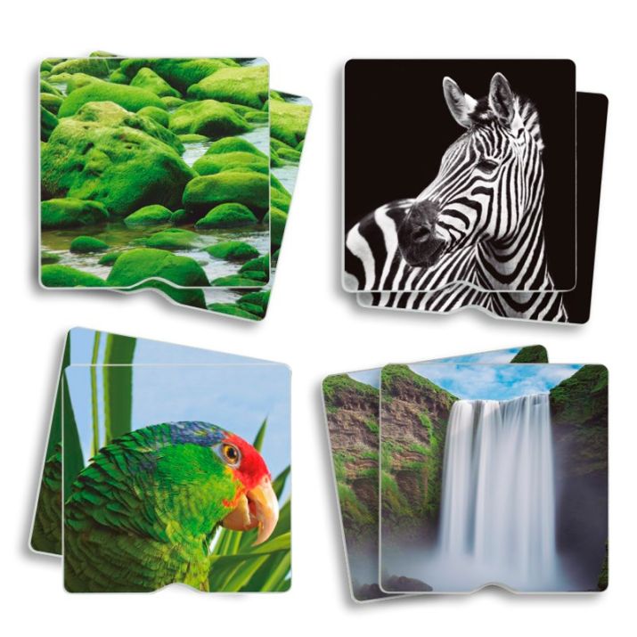 Atrask tekstūras ir gamtos paslaptis per lietimą ir žaidimą! 🍃🔍