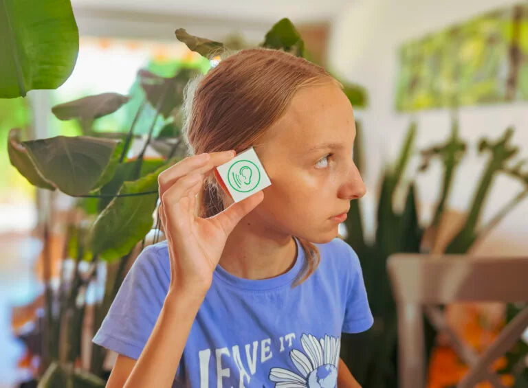 Garsinė atmintis – edukacinis kalbos ir klausos lavinimo žaidimas vaikams