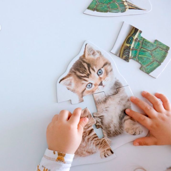 🐼 Gyvūnų siluetai – 9 maxi dėlionės