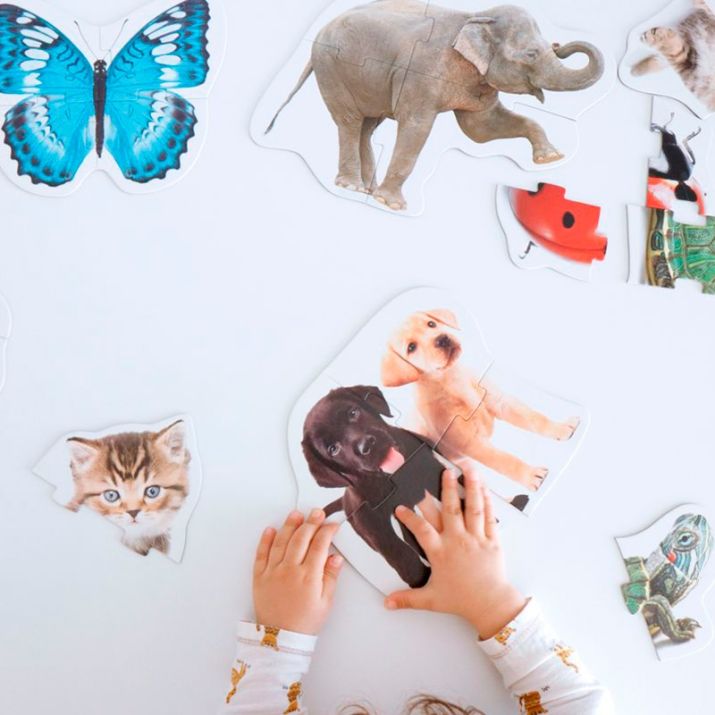 🐼 Gyvūnų siluetai – 9 maxi dėlionės