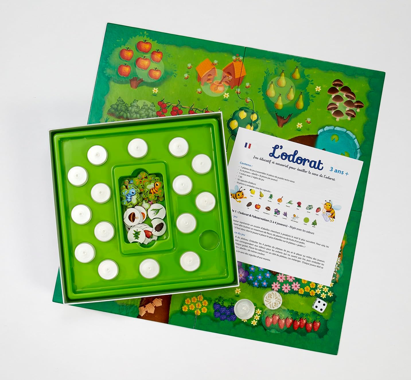 🐝 Montessori sensorinis žaidimas „Bitučių kvapų sodas“