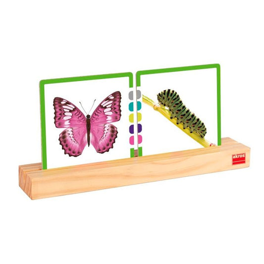 🪵 Mediniai kortelių laikikliai „Akros“ (2 vnt.)