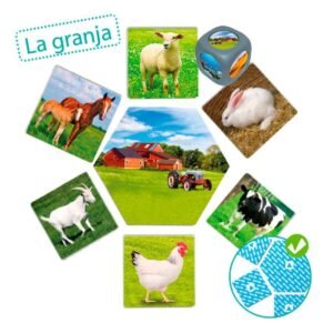 🐾 Kur gyvena gyvūnai – edukacinis asociacijų žaidimas vaikams