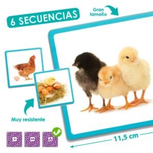 🌿 Gamtos sekos – maxi paveikslėliai