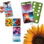 Natudomino „Gamtos stebuklai“