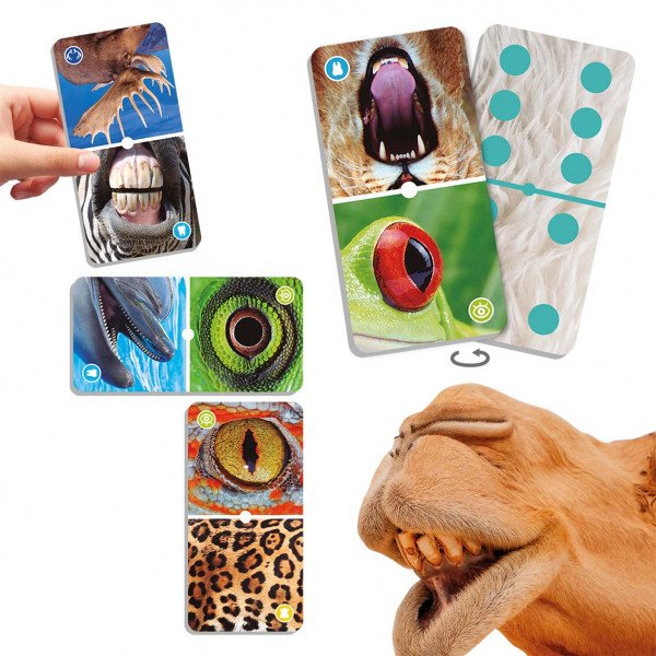 natudomino-the-zoom-of-animals-.jpg Natudomino „Gyvūnai iš arti“