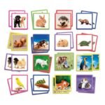 Maxi Memory Pets2